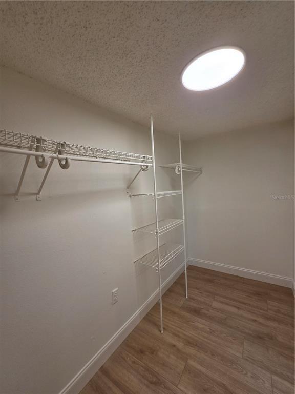 Building Photo - 3334 Sassafras Ct