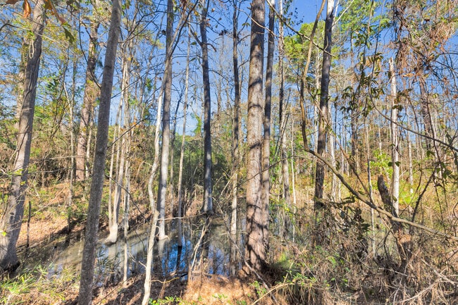 Building Photo - 109 Trinity Dr