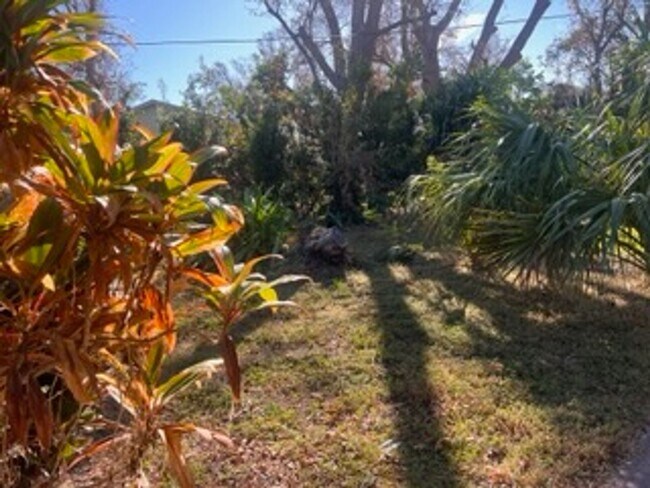 Building Photo - Bring your dog!  2 bedroom, 2 bath, Single family home in South Venice