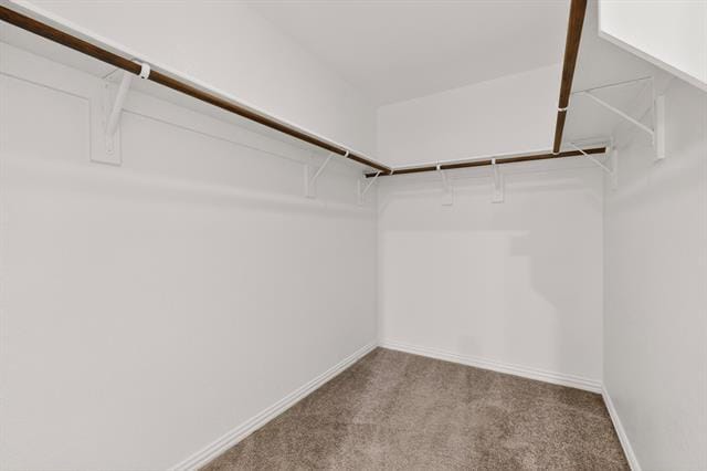 Building Photo - 4009 Mockingbird Ln