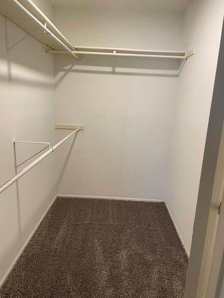 Building Photo - 11136 El Sendero St