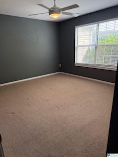 Building Photo - 1607 Briarwood Ln