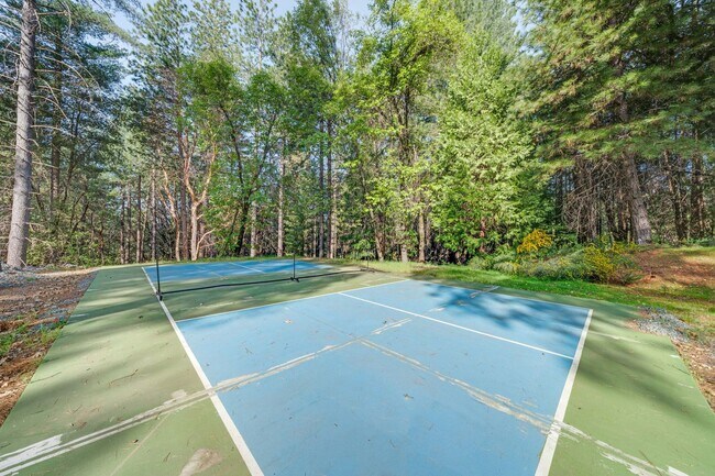 Building Photo - Updated Georgetown Home on 5 Acres with Huge Deck!