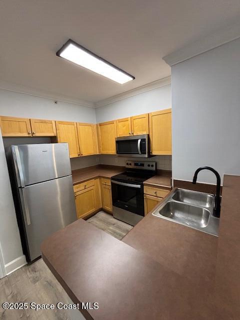 Building Photo - 6470 Borasco Dr