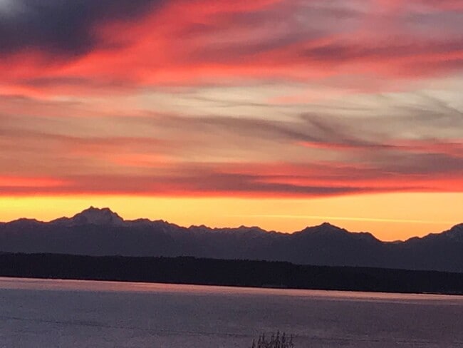 Building Photo - Stunning Sound & Olympic Mountain View Home in North Admiral