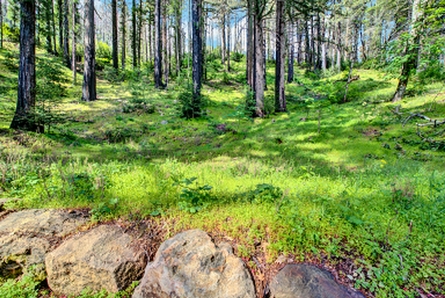 Building Photo - Mount Veeder Sanctuary Home