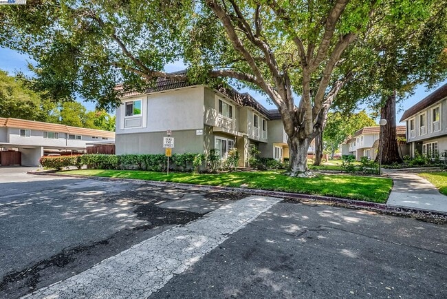 Building Photo - 4446 Seminole Way