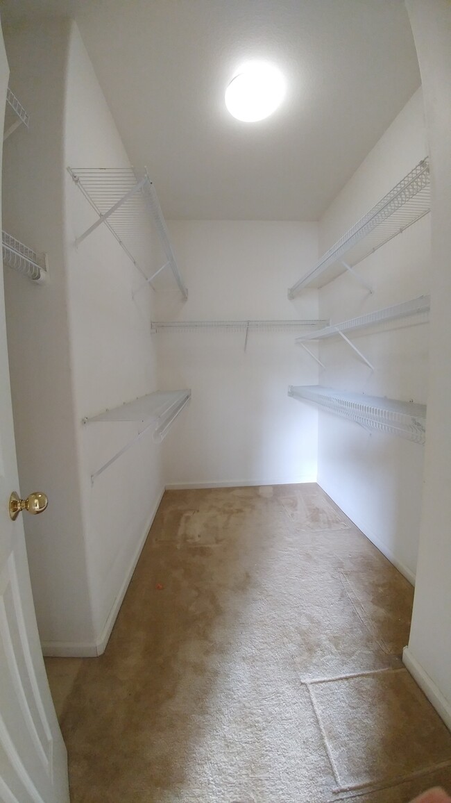 Building Photo - 844 Towne Dr