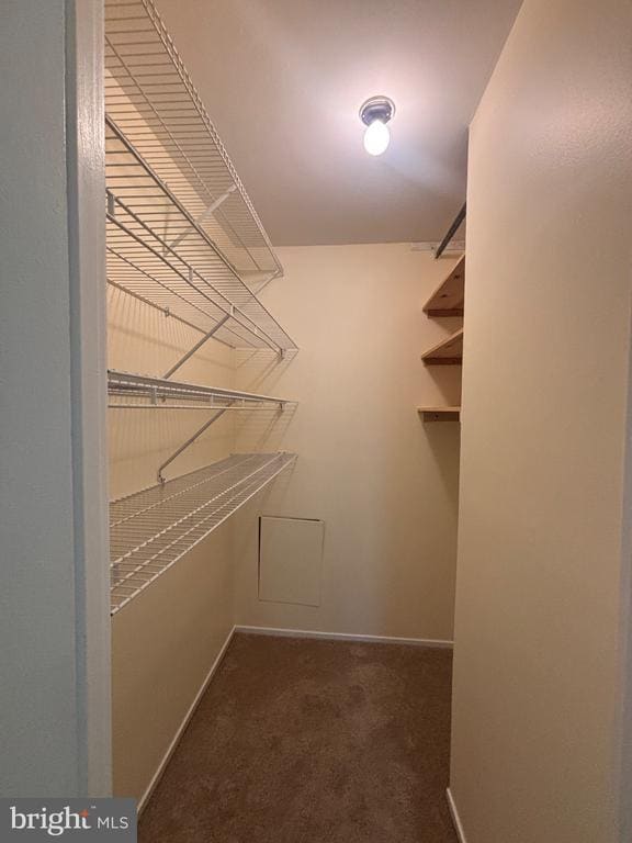 Building Photo - 10242 Ridgeline Dr