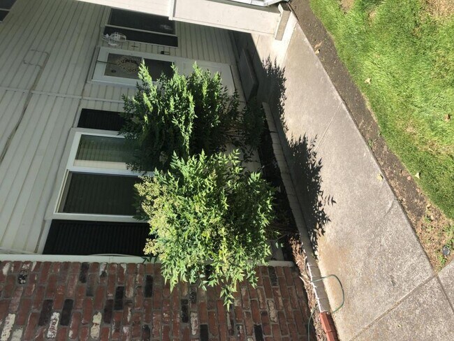 Building Photo - 2285 Poplar Dr