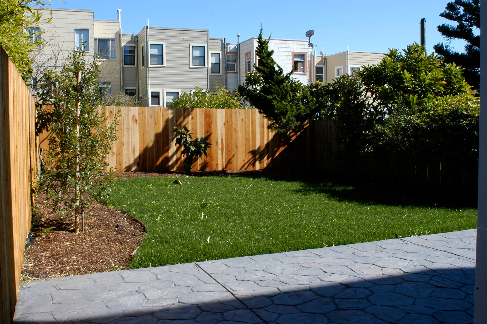 Rear yard - 760 27th Ave