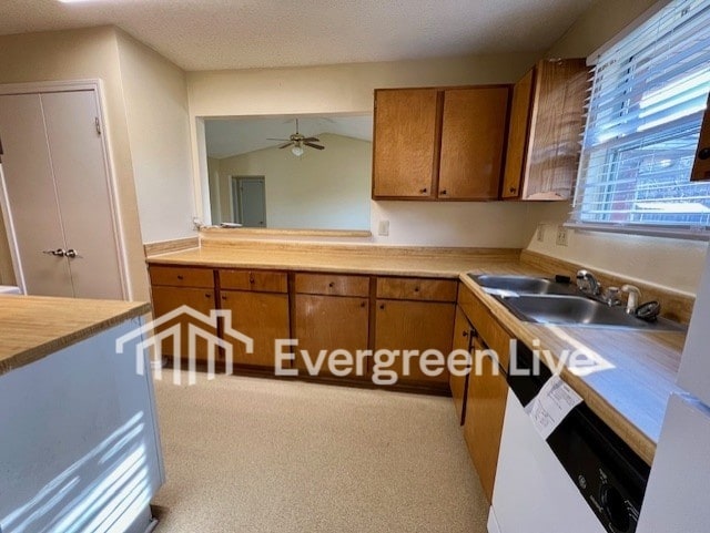 Building Photo - 106 Morning Bloom Ct