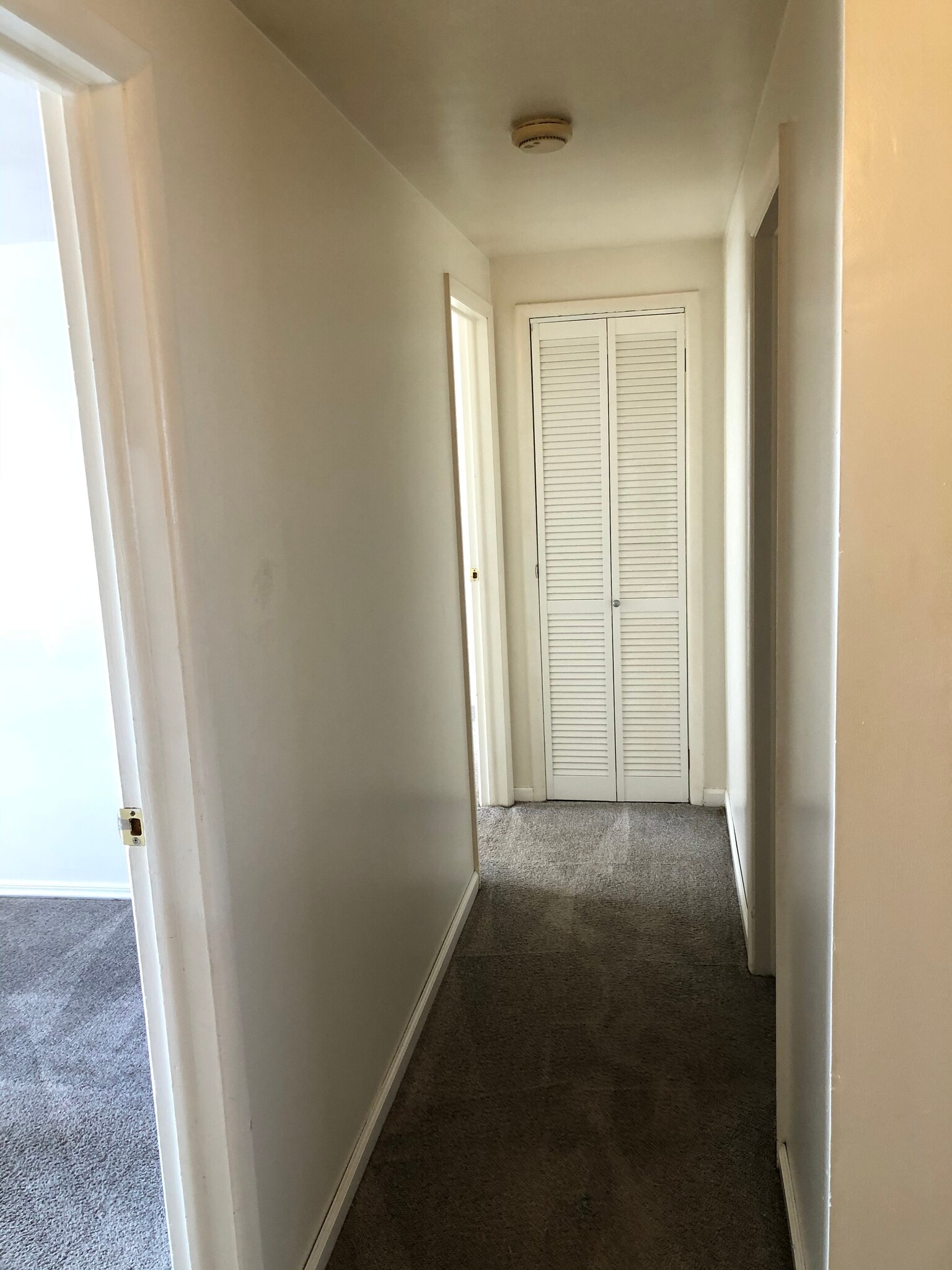 Hall - 4909 Mount Vernon Dr