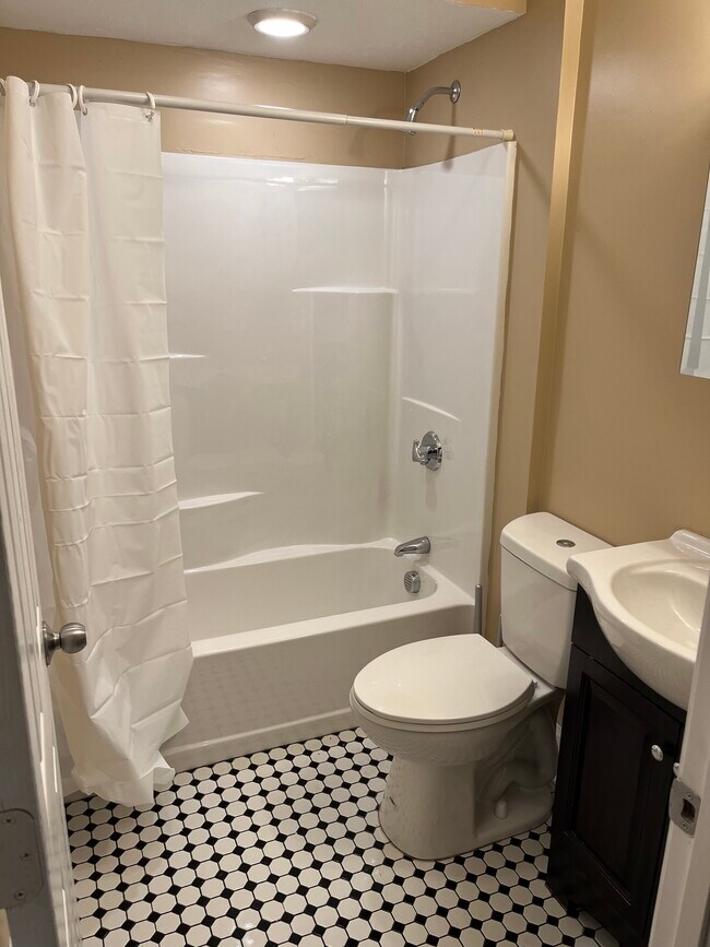Common Bath - 17 Shamrock St
