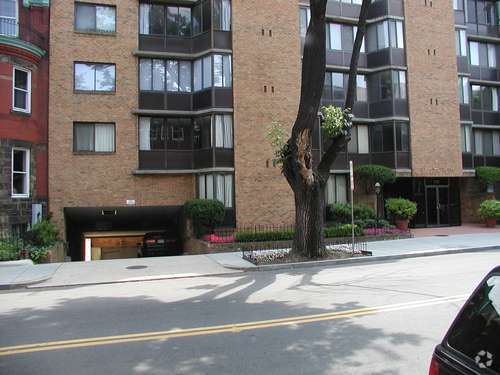 Alternate Building View - Webster House