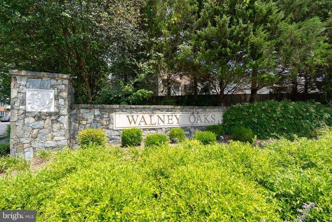 Building Photo - 4481 Shady Point Pl