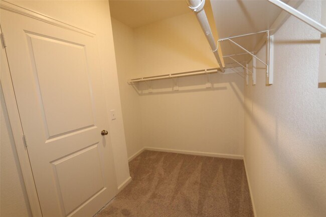 Building Photo - 3977 Fringe Tree Ln