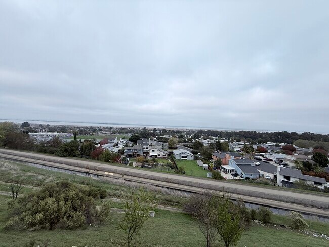 Building Photo - 533 Bustos Pl