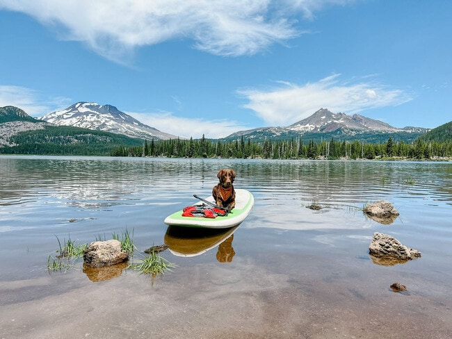 Building Photo - 1018 NW Ogden Ave