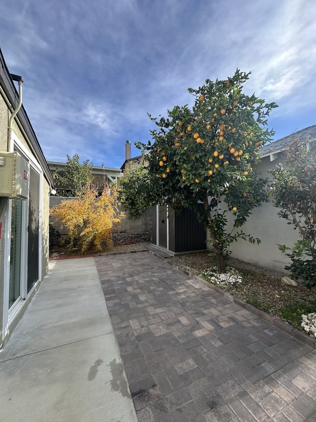 side yard with fruit trees - 10638 Tinker Ave