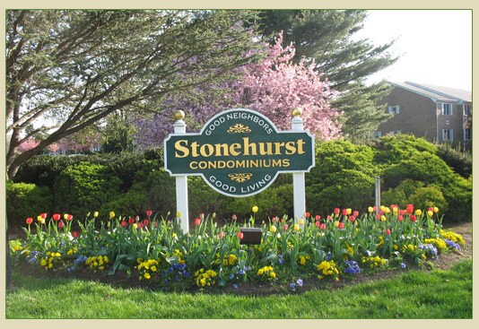 Building Photo - 61 Stonehurst Blvd