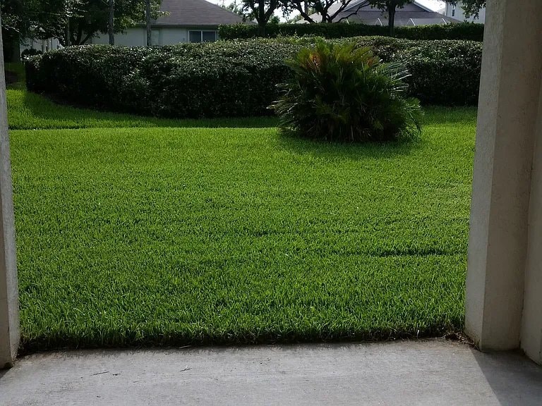 Building Photo - 2405 Silvermoss Dr