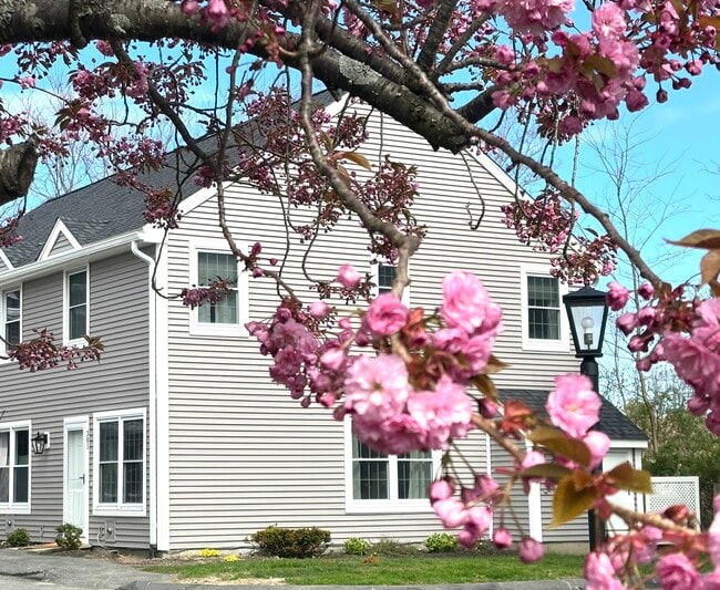 Building Photo - 16 Mussey St