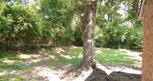 Building Photo - Spacious 3 Bedroom, 2 Bath Home in Tyler!