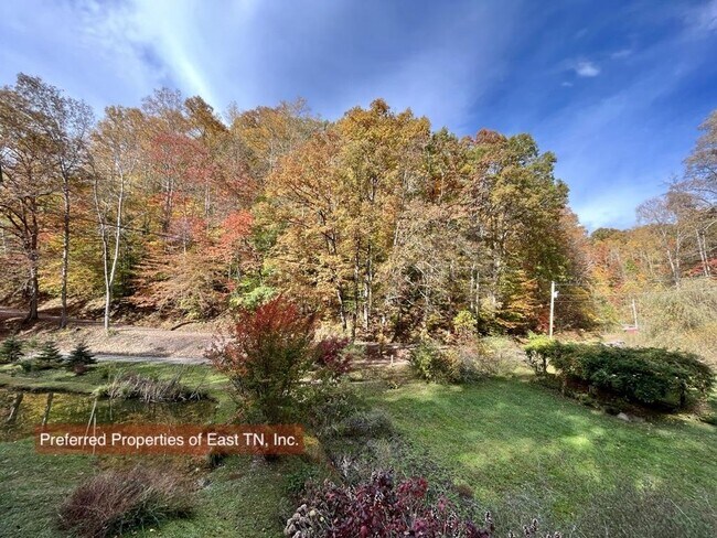 Building Photo - 709 Brown Mountain Rd