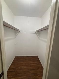 Building Photo - 3223 Brooktree Ln