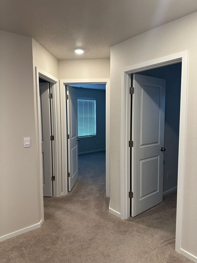Building Photo - Newer 4 bedroom 2.5 bathroom house! AVAILA...