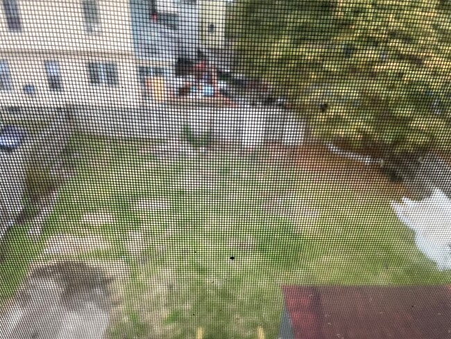 Building Photo - 50 Schubert St