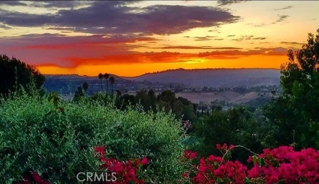 Building Photo - 25222 Del Rio