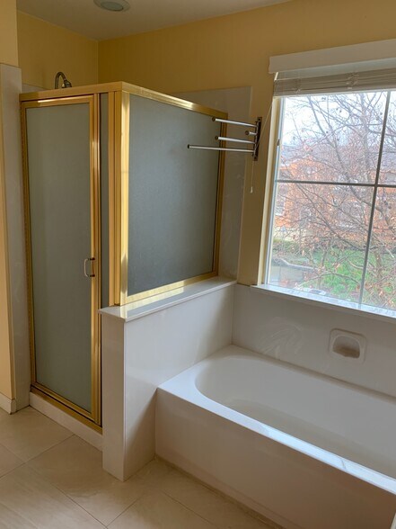 Master Bath (Stall shower) - 3693 Dickenson Cmn