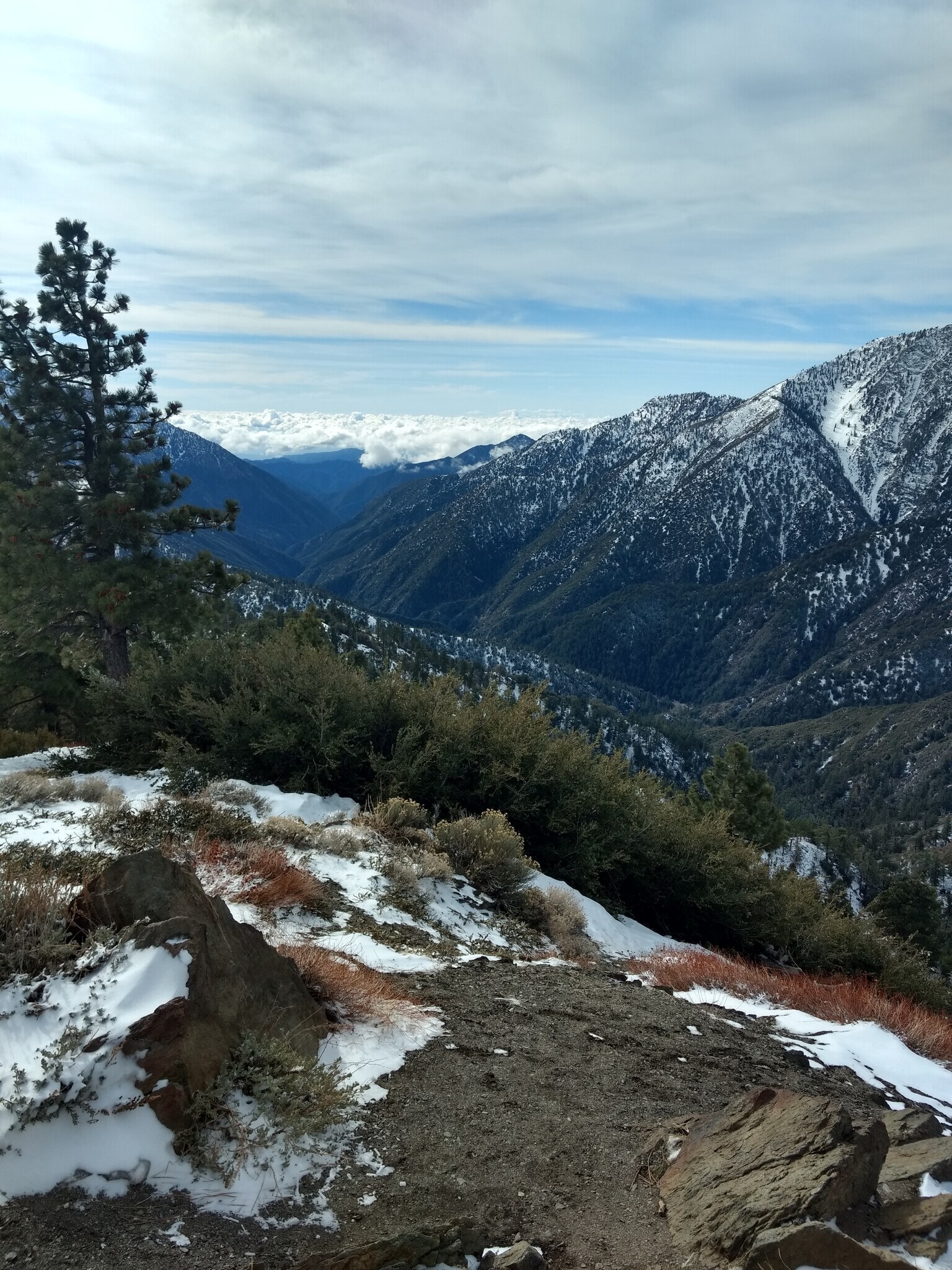 Inspiration Point - 10 min. drive - 1357 Ross St