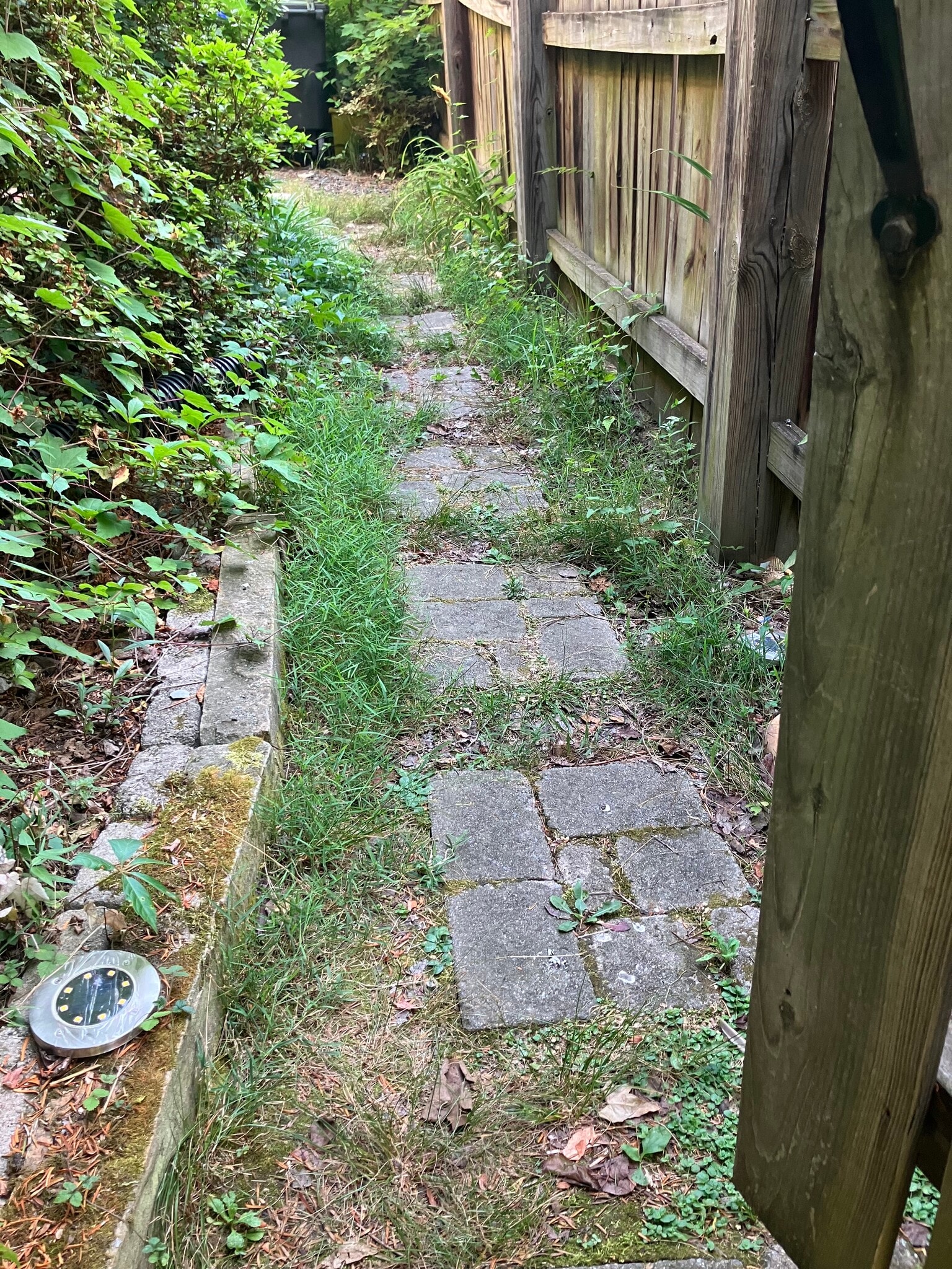 Side yard path with fence - 3741 4th St N