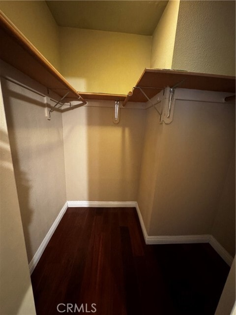 Building Photo - 2115 Holly Ave