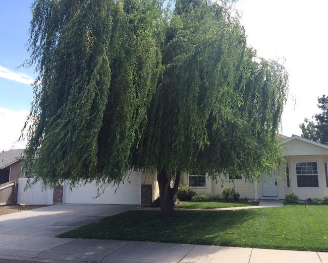 Primary Photo - 497 E Baldwin St