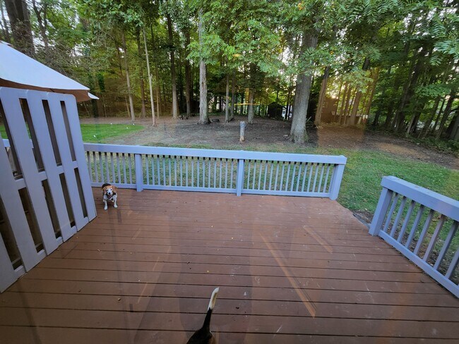 Deck - 100 Pheasant Trl