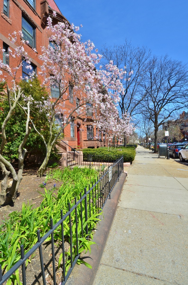 Building Photo - 407 Marlborough St