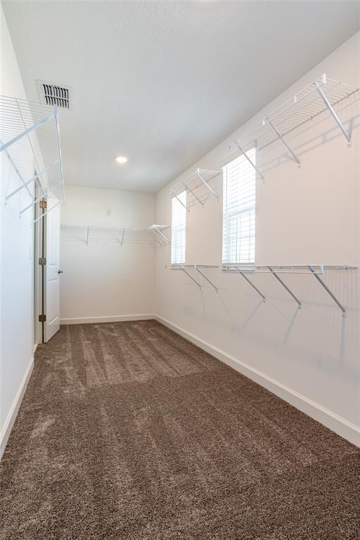 Building Photo - 12018 Grammar Ln