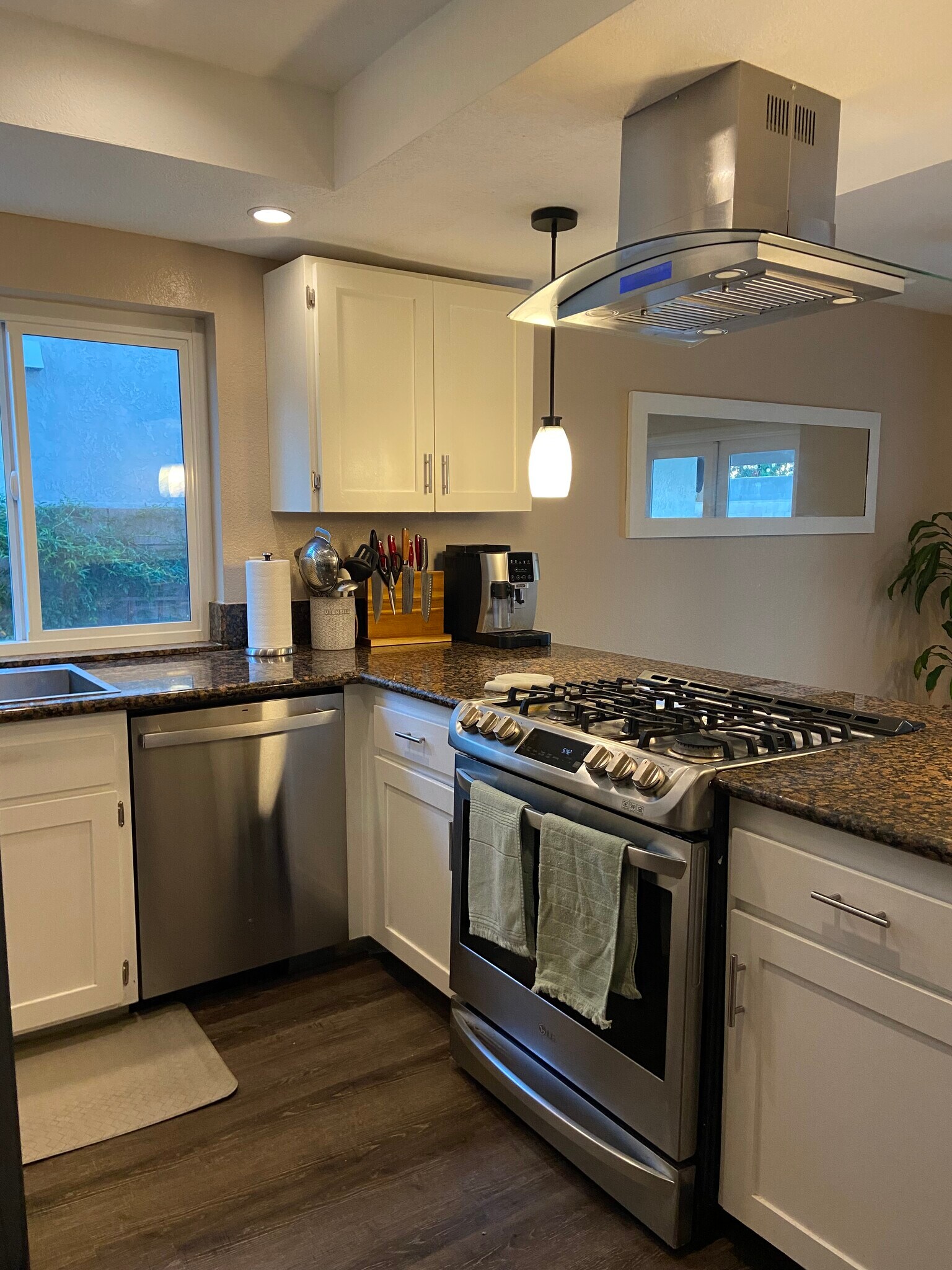 Gas stove, dishwasher, and granite countertops - 15165 Paige Ave