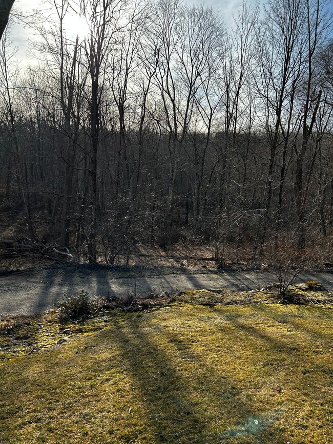 Rear view - 969 Purchase Brook Rd