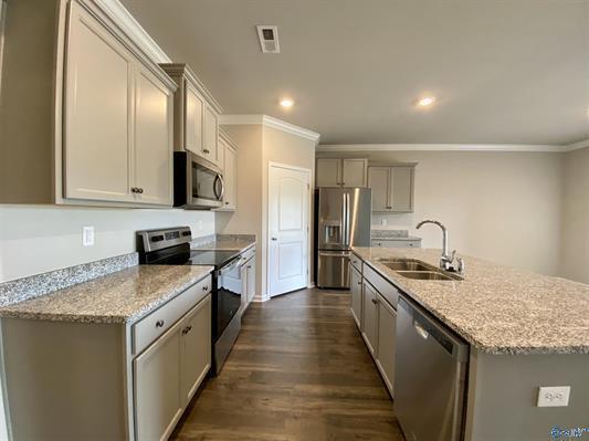 Building Photo - Beautiful home in Twin Lakes!