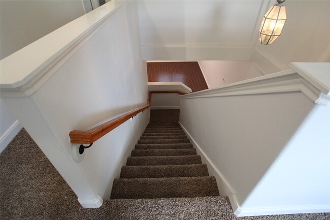 Building Photo - 814 Forest Thicket Ln