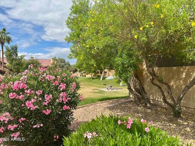 Building Photo - 4901 S Calle Los Cerros Dr