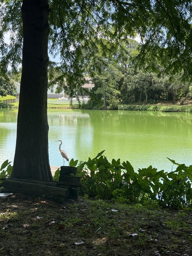 Building Photo - 504 Main St