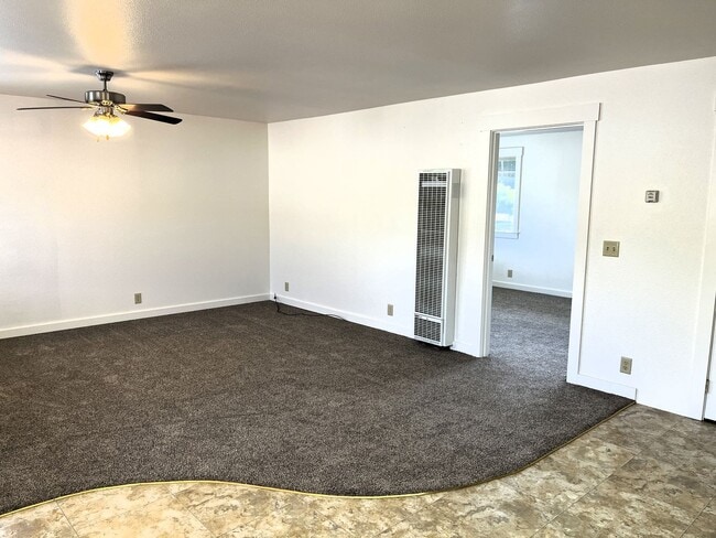 Building Photo - Large Cat-Friendly 1 Bedroom Apartment In ...