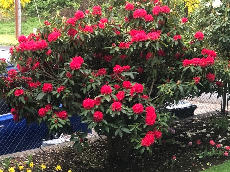 Beautiful landscaping in desirable property location - 25609 Lawson St