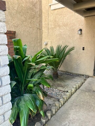 Front patio - 11266 Fripps Way